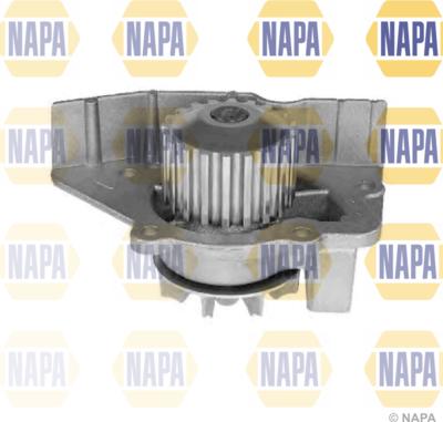 NAPA NWP1135 - Водна помпа vvparts.bg