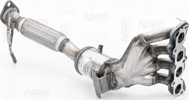 NAP carPARTS CAK10275 - Катализатор vvparts.bg