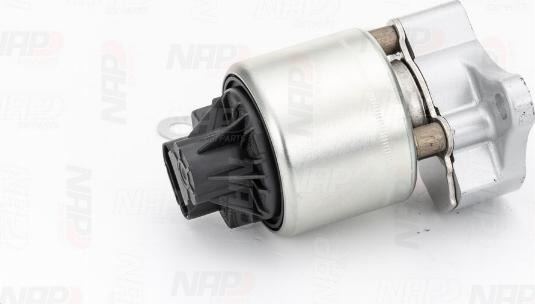 NAP carPARTS CAV10001 - AGR-Клапан vvparts.bg