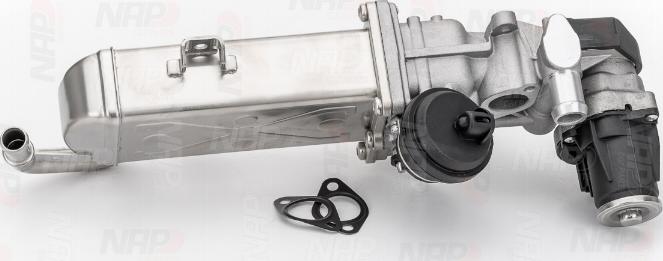 NAP carPARTS CAV10089 - AGR-Клапан vvparts.bg