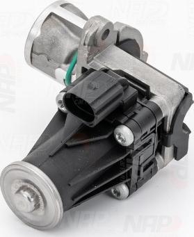 NAP carPARTS CAV10100 - AGR-Клапан vvparts.bg