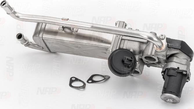 NAP carPARTS CAV10118 - AGR-Клапан vvparts.bg