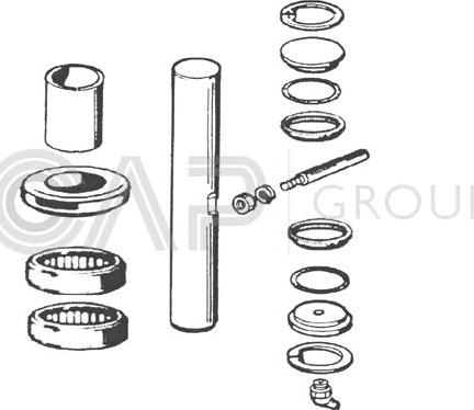 OCAP 0927450 - Ремонтен комплект, шенкелни болтове vvparts.bg