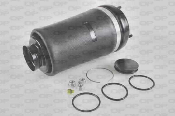 Open Parts ASP4007.00 - Въздушна възглавница, окачване vvparts.bg