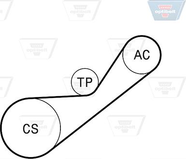 Optibelt 4 PK 925KT1 - Комплект пистов ремък vvparts.bg