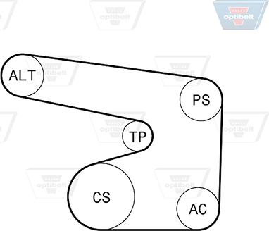 Optibelt 6 PK 1900KT1 - Комплект пистов ремък vvparts.bg