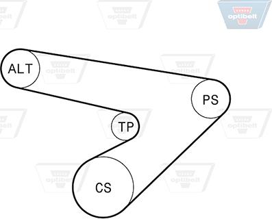 Optibelt 6 PK 1725KT2 - Комплект пистов ремък vvparts.bg