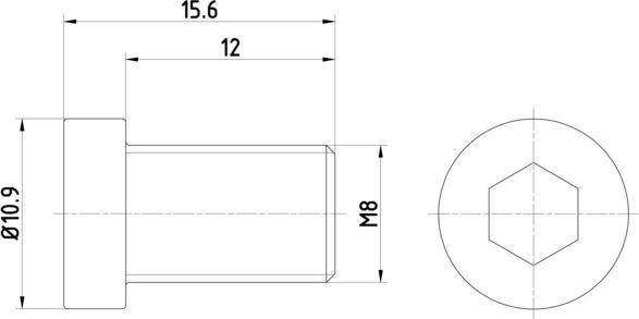 Pagid TPM0009 - Винт, спирачен диск vvparts.bg