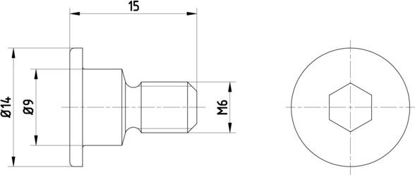 Pagid TPM0001 - Винт, спирачен диск vvparts.bg