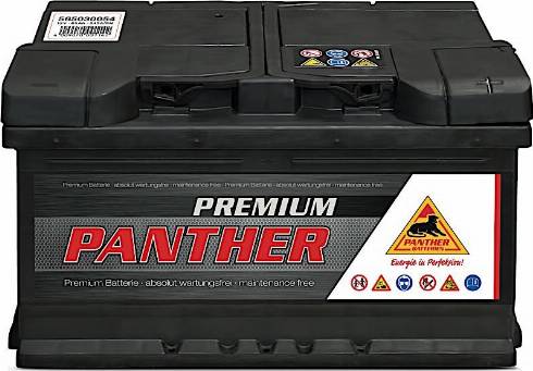 PANTHER SB.5653033 - Стартов акумулатор vvparts.bg