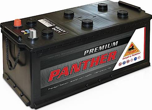 PANTHER SB.6801733 - Стартов акумулатор vvparts.bg