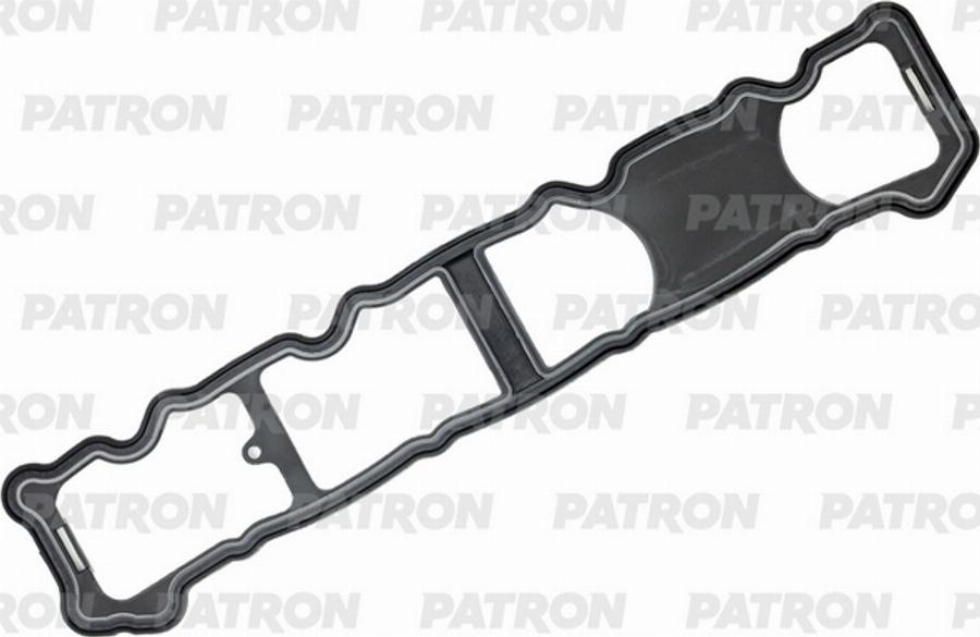 Patron PG6-0199 - Гарнитура, капак на цилиндрова глава vvparts.bg