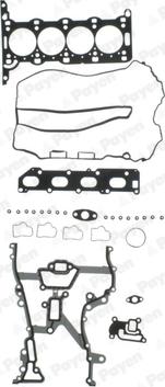 Payen CH5031 - Комплект гарнитури, цилиндрова глава vvparts.bg