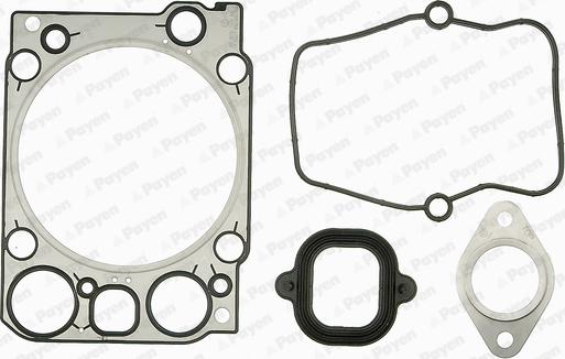 Payen DZ140 - Комплект гарнитури, цилиндрова глава vvparts.bg