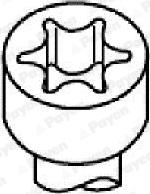 Payen HBS054 - Комплект болтове на капака на клап. (на цилиндровата глава) vvparts.bg