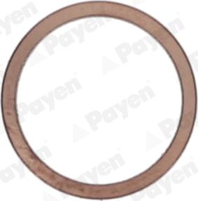 Payen KG5148 - Уплътнителен пръстен, пробка за източване на маслото vvparts.bg