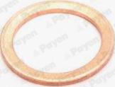 Payen KG5158 - Уплътнителен пръстен, пробка за източване на маслото vvparts.bg
