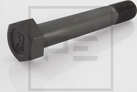 PE Automotive 043.004-10A - Винт vvparts.bg