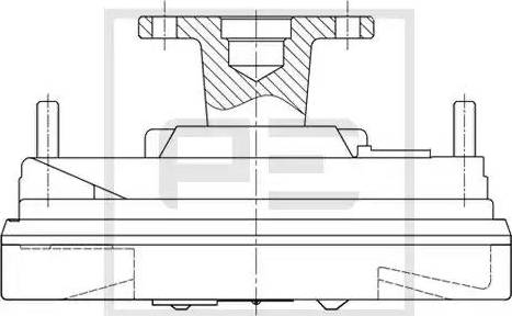 PE Automotive 010.347-00A - Съединител, вентилатор на радиатора vvparts.bg