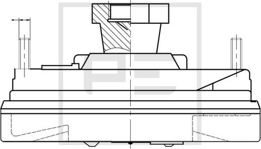 PE Automotive 100.233-00A - Съединител, вентилатор на радиатора vvparts.bg