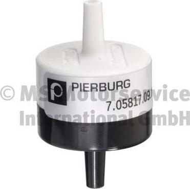 Pierburg 7.05817.09.0 - Клапан, система за вторичен въздух vvparts.bg