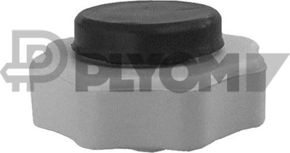 PLYOM P950480 - Капачка, резервоар за охладителна течност vvparts.bg