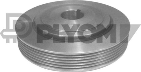 PLYOM P030965 - Ремъчна шайба, колянов вал vvparts.bg