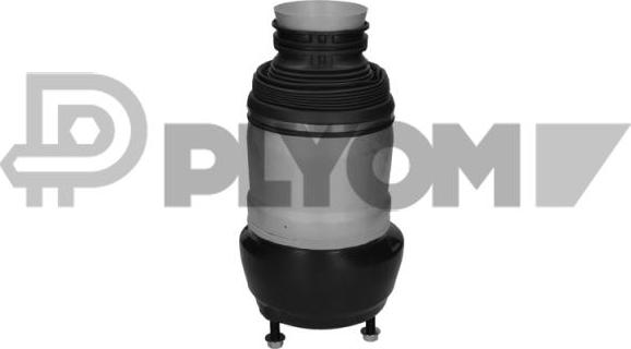 PLYOM P752982 - Въздушна възглавница, окачване vvparts.bg