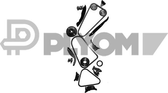 PLYOM P752037 - Комплект ангренажна верига vvparts.bg