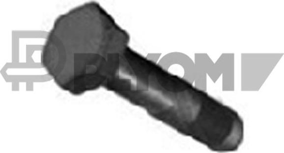 PLYOM P757039 - Болт на ремъчна шайба vvparts.bg