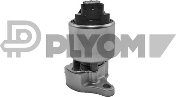 PLYOM P770103 - AGR-Клапан vvparts.bg