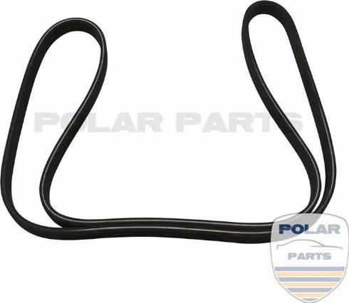 PolarParts 10000949 - Пистов ремък vvparts.bg