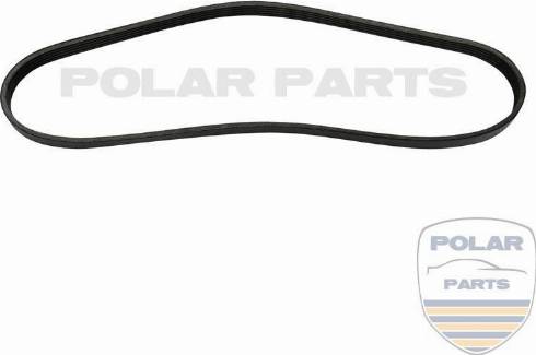 PolarParts 10003757 - Пистов ремък vvparts.bg