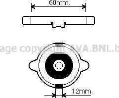 Prasco 980015 - Капачка, радиатор vvparts.bg