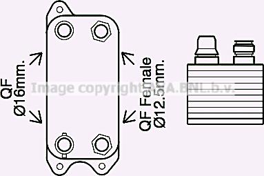 Prasco MS3686 - Маслен радиатор, автоматична трансмисия vvparts.bg