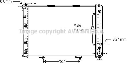 Prasco MS2177 - Радиатор, охлаждане на двигателя vvparts.bg