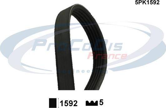 Procodis France 5PK1592 - Пистов ремък vvparts.bg