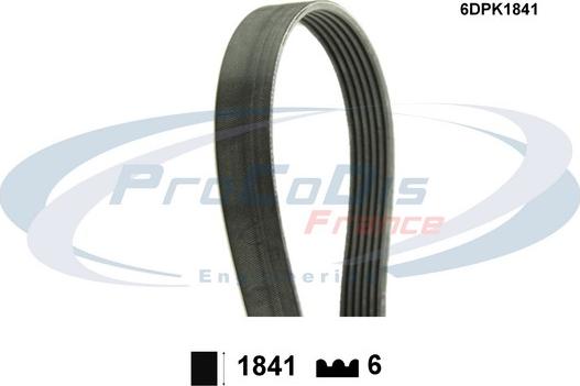 Procodis France 6DPK1841 - Пистов ремък vvparts.bg