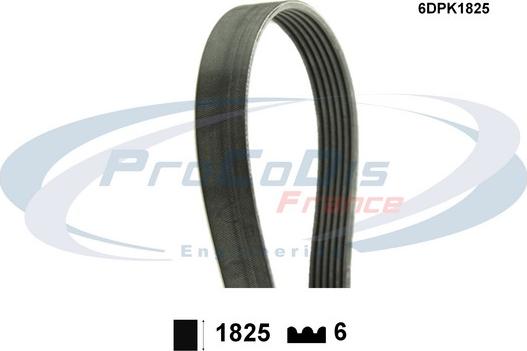 Procodis France 6DPK1825 - Пистов ремък vvparts.bg