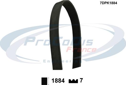 Procodis France 7DPK1884 - Пистов ремък vvparts.bg