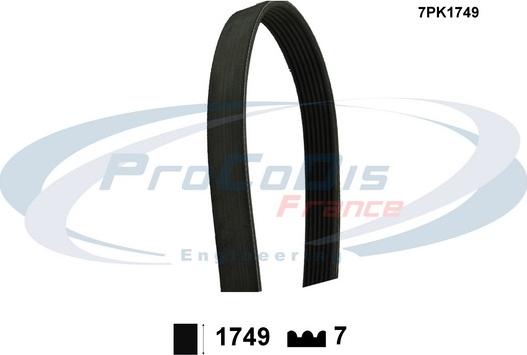 Procodis France 7PK1749 - Пистов ремък vvparts.bg