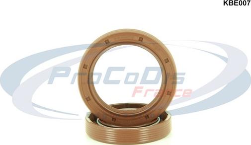 Procodis France KBE007 - Комплект вълнообразни дихтунги / шайби/, двигател vvparts.bg