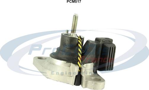 Procodis France PCM517 - Окачване, двигател vvparts.bg