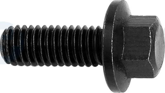 Professional Parts 82432757 - Винт, изпускателна система vvparts.bg