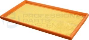 Professional Parts 24346199 - Въздушен филтър vvparts.bg