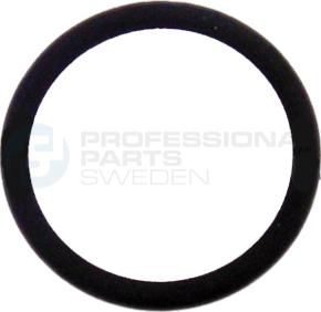 Professional Parts 21348145 - Уплътнителен пръстен, пробка за източване на маслото vvparts.bg