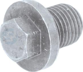 Professional Parts 21343669 - Болтова пробка, маслен картер vvparts.bg