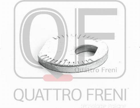 Quattro Freni QF00X00012 - Болт, реглаж на моста (сходимост и наклон на колелата) vvparts.bg