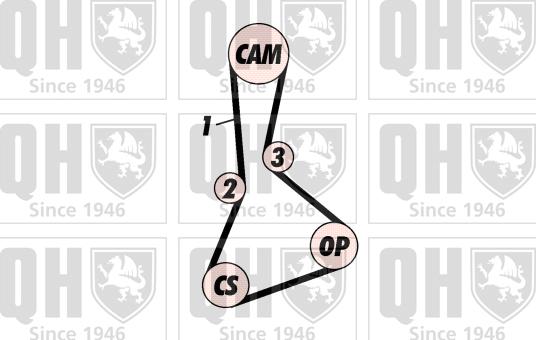 Quinton Hazell QBK371 - Комплект ангренажен ремък vvparts.bg
