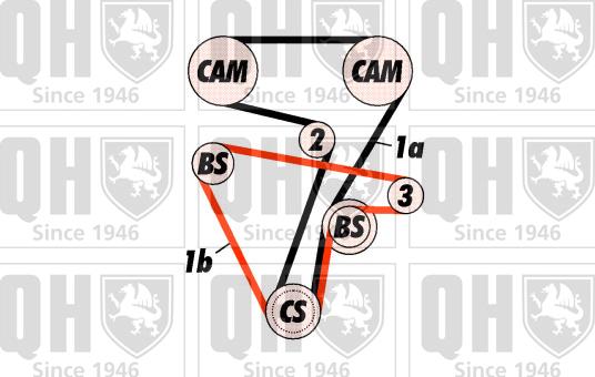 Quinton Hazell QBK320 - Комплект ангренажен ремък vvparts.bg